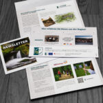 Newsletter_LEADER